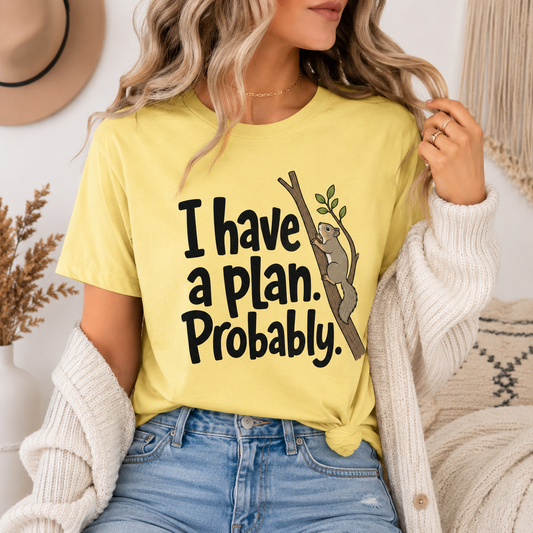 Funny Squirrel T-Shirt, I Have A Plan Probably Shirt
