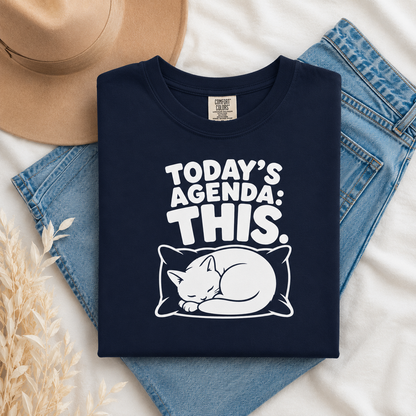 Today’s Agenda This Cat T-Shirt, Funny Sleeping Cat Graphic Tee