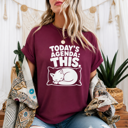 Today’s Agenda This Cat T-Shirt, Funny Sleeping Cat Graphic Tee