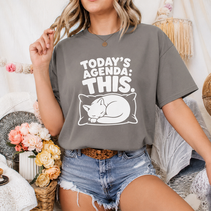 Today’s Agenda This Cat T-Shirt, Funny Sleeping Cat Graphic Tee