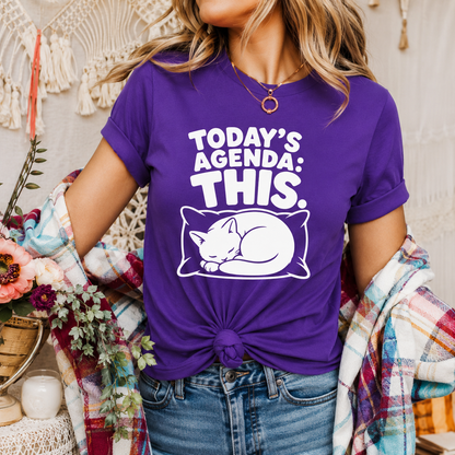 Today’s Agenda This Cat T-Shirt, Funny Sleeping Cat Graphic Tee